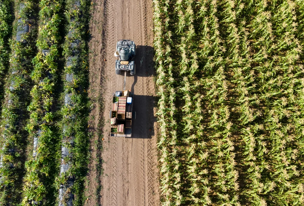 Agriculture